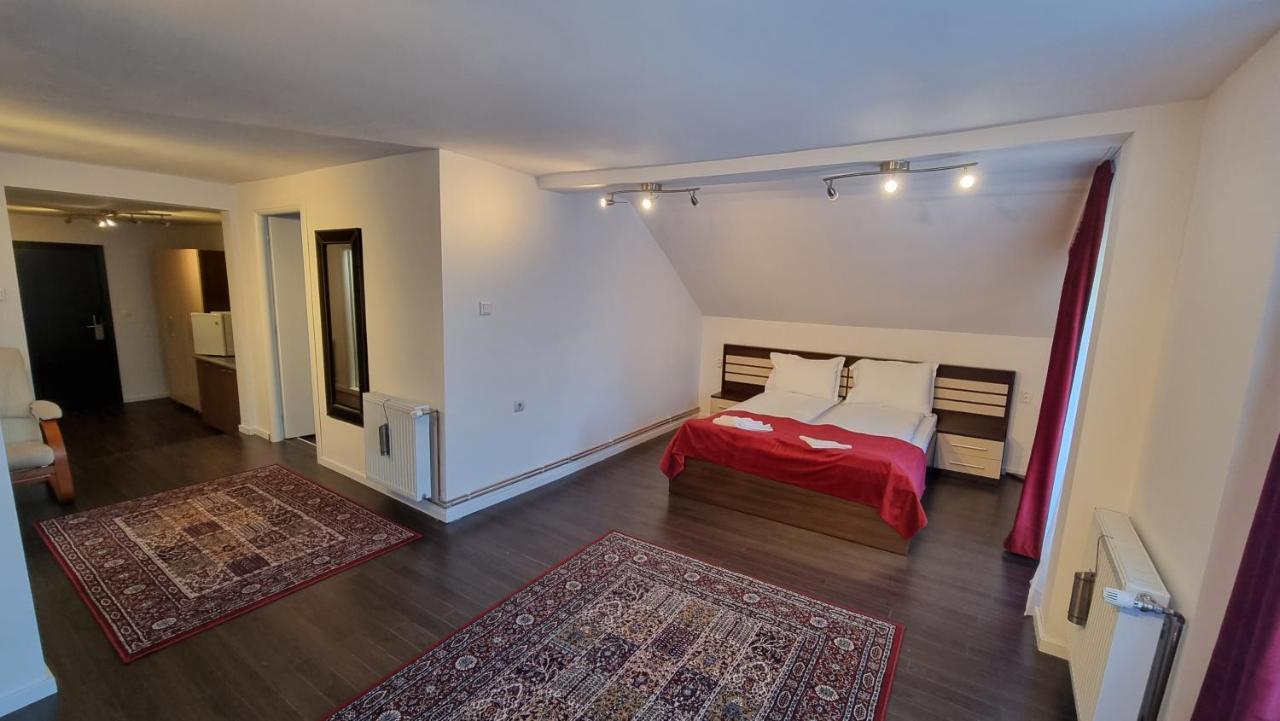 Vila Parc Cluj-Napoca Extérieur photo