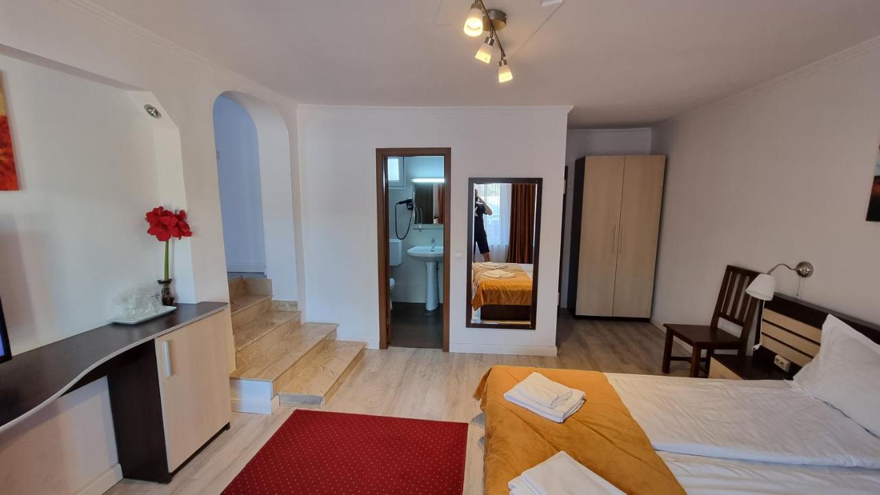 Vila Parc Cluj-Napoca Extérieur photo