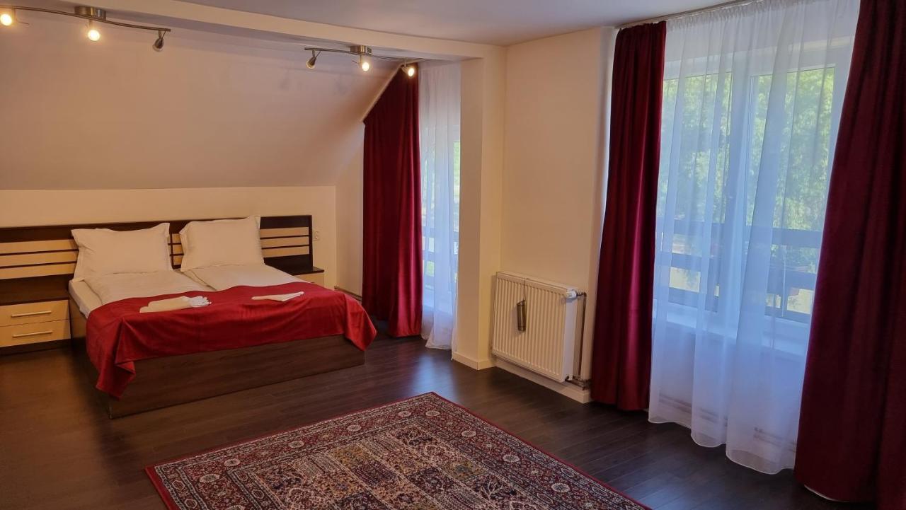 Vila Parc Cluj-Napoca Extérieur photo