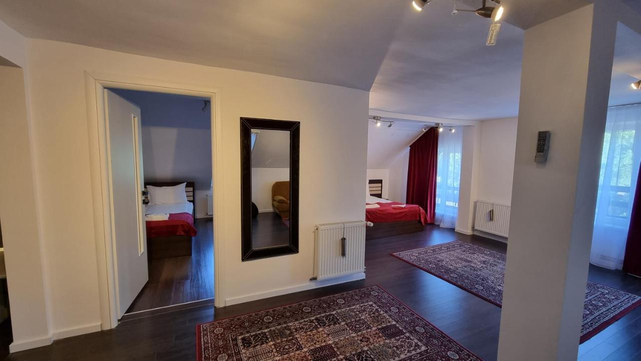 Vila Parc Cluj-Napoca Extérieur photo